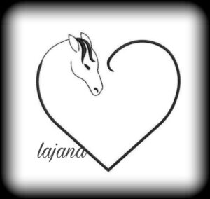 Stickdatei Herz Pferd