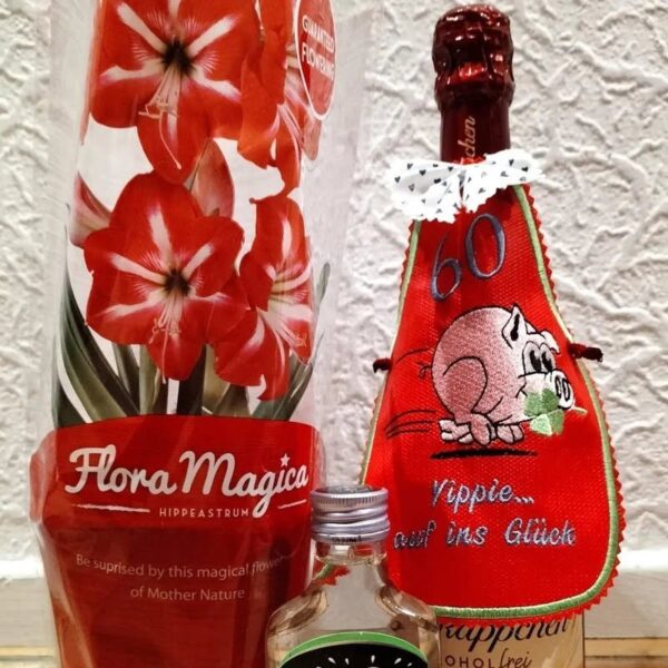 ITH Stickdatei Flaschenschürze Blanko