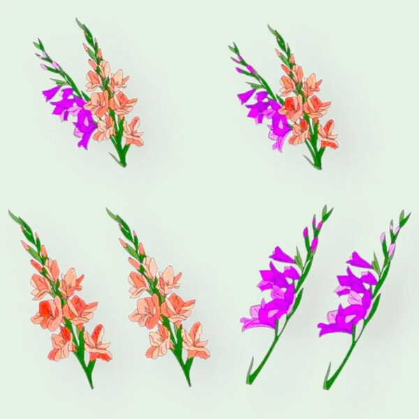 Stickdatei Blumen Gladiolen 🌸 – Vollstick | 13x18 & 16x26cm
