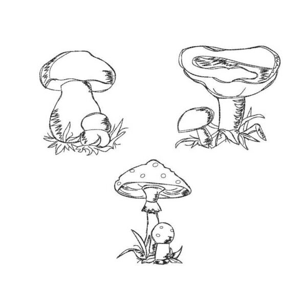Stickdatei Pilze